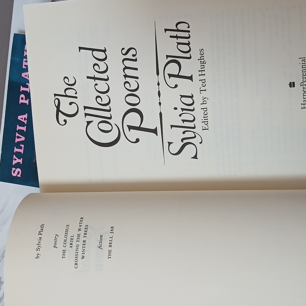 Sylvia Plath Book Collection - Picture 9 of 16